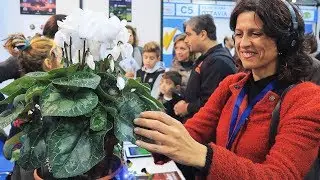 La musica delle PIANTE e il loro legame con l'uomo: PLANTS PLAY