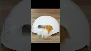 PetSafe Fox Den: Diversi&oacute;n Interactiva Automatizada para Gatos