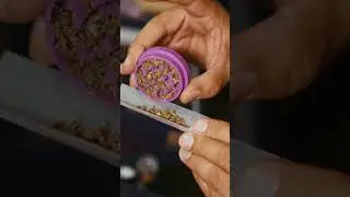 It&acute;s a wrap!! Autoflower World Cup 2025