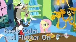 MLP 
