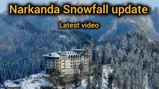 Narkanda weather and snowfall update| Narkanda - Shimla | Himachal Pradesh 