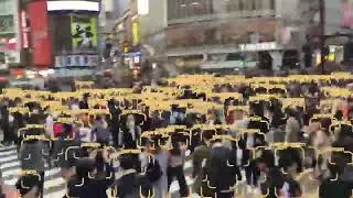 Data Annotation For Video Surveliance Object Detection | Wisepl | Annotation Services | ML