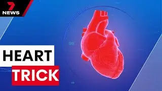 Healthy gut can improve heart health, new study finds | 7NEWS