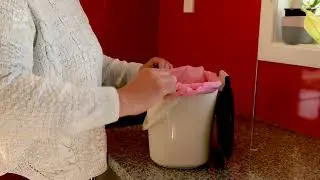 Food Scraps Service &ndash; how to use your food scraps bin and caddy | Auckland Council