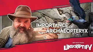 Archeopteryx is the missing link in Darwin&rsquo;s Origin of Species | Ikuzo Unscripted