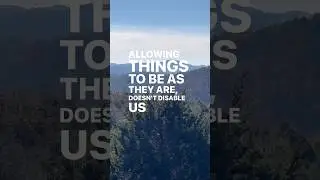 Allow Each Moment #truth #trust #mindfulness #spirituality #presence #shorts #acceptance