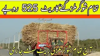Breaking news for sugacane farmers in Punjab//sugacane support price today/