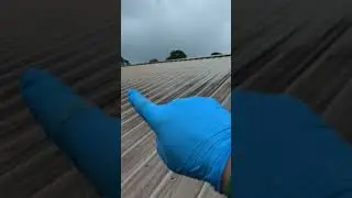 metal roof cleaning. keep your run off to a minimum #roofwash