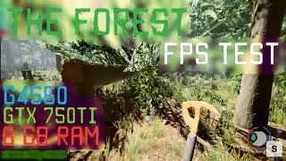 THE FOREST FPS TEST :: G4560 / Gtx 750Ti / 8Gb