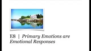 E8 | Primary Emotions are Emotional Responses