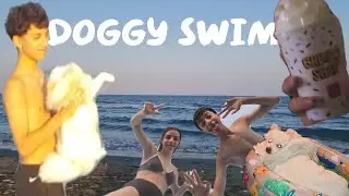 BEACH DAY || Paralyzed dog swims!!