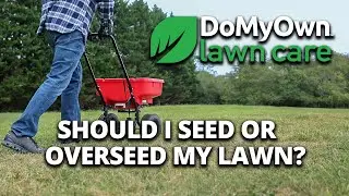 How to Know If You Should Seed or Overseed Your Lawn This Fall | DoMyOwn.com