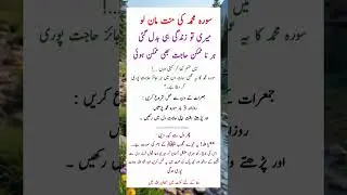 سورہ محمد❤  #islamic #religion #allah #ramadan #newshorts #youtubeshorts #trending