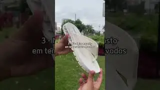 3 passos pra cuidar do pin da sua Kenner