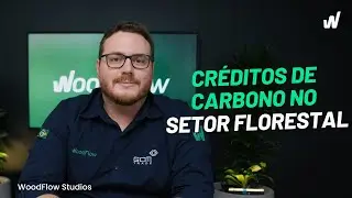 Cr&eacute;ditos de carbono na madeira: oportunidade para o setor florestal | WoodFlow Studios