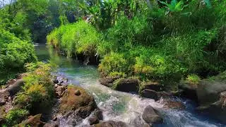 Calming River Sounds &ndash; 10 Hours of Natural ASMR for Focus & Anxiety Calm