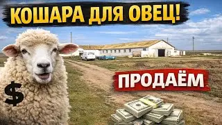 Апартаменты для овец 🐑 - Кошары! Продажа недвижимости!