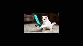 The cat with sword from Minecraft!!