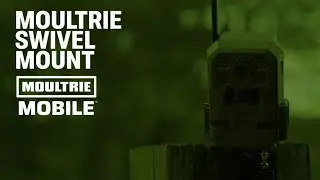 The Moultrie Swivel Mount