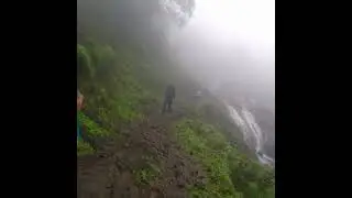 Dense jungle Andharban trek near tamhini| अंधारबन ताम्हिणी