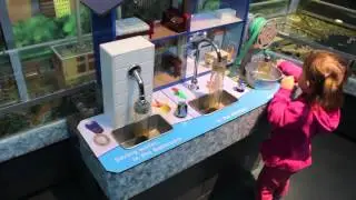 The Philadelphia Zoo: America's First Zoo