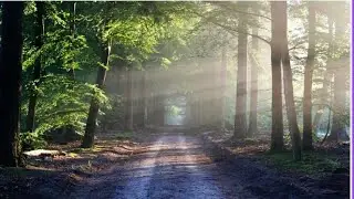 🌠🌙 Aakash pangharoni jag shant zople he |  Suman Kalyanpur | Meenakshi Holkar |
