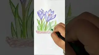 Easy flower pencil colour drawing | #shorts #youtube #pencilcolor #art
