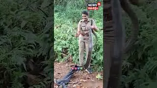ആര്യനാട്ട് രാജവെമ്പാലയെ പിടിച്ച് ഫോറസ്റ്റിലെ 