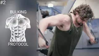 Scientific Training Principles for Chest Hypertrophy