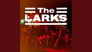 How Much More Can You Take? (Live)