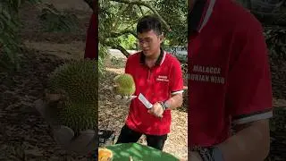 Amazing Fruit! Durian Unboxing Master - Fruit Cutting Skills