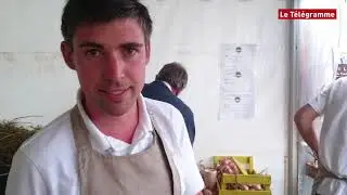 Roscoff. Une fête aux petits oignons