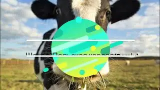 Шакал-Польская корова(Remix) original sound(2021)