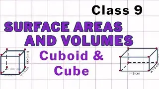 How to calculate T.S.A and L.S.A of a cube and Cuboid part -2