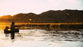 BROWN DRAKES -  A World Famous Hatch on Silver Creek in Idaho (Film)