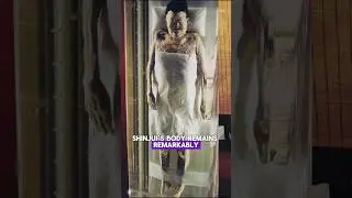 Perfectly Preserved Mummy Of China 😲 #shorts #history #facts #mystery #mummy #historical #china