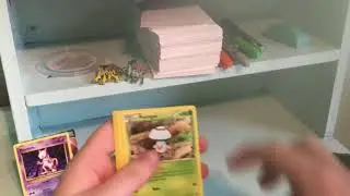 Pok&eacute;mon Suicune pin blister pack opening