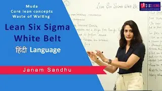 Lean Six Sigma White Belt Course I Hindi I Muda I  lean concepts I Waste of Waiting I Certification