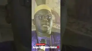 Allahou Akbar 😕😲 Thieuy Cheikh Ibra! Serigne Touba Kenn La #serigneganamessere  #shorts