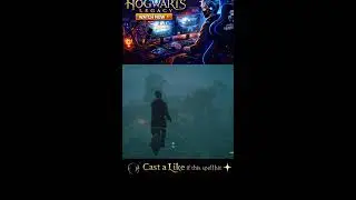 Hogwarts Legacy LIVE Gameplay | Exploring Hogwarts & Magical Quests 🪄