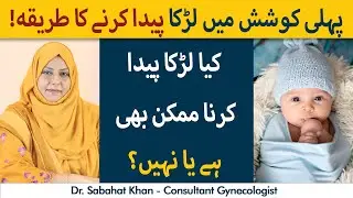 How To Conceive A Baby Boy? | Hamal Mein Beta Paida Karne ka Tarika | Method To Conceive Baby Boy