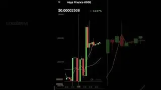hoge finance cryptocurrency prices increased #hoge #bitcoin #ethereum