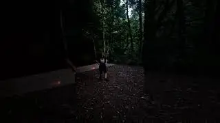 first time with the music box at the waterfall