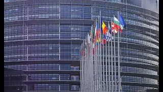 Press conference by Bernd LANGE (S&D,DE), Chair of the International Trade Committee on &ldquo;EU-US Trade