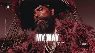 My Way (Remix) l SNX