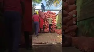 20 Tonnes Pink Onion Loading Process - Global Eagle EXIM
