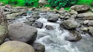 Pure Nature Sounds | Flowing River Water for Mind Healing