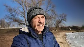 Жук! Навалился депресняк - пойми причины своей боли.