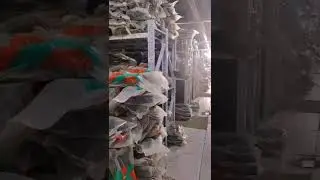 COMBINE HARVESTER BELT MANUFACTURING FROM CHINA