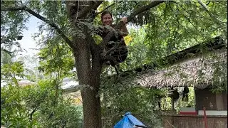 Mợ Tư Leo Thu Hoạch 1 Rổ Me Dốt Và Ra Vườn Trồng Hoa #1250 - Hai Sướng 